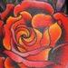 Tattoos - new school rose - 68780